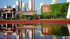  蘇州中學(xué)園區(qū)校西馬國(guó)際課程，一文帶你看詳情！