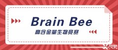 神經(jīng)科學生必選的Brain Bee腦科學大賽詳解，5-12年級均可參加