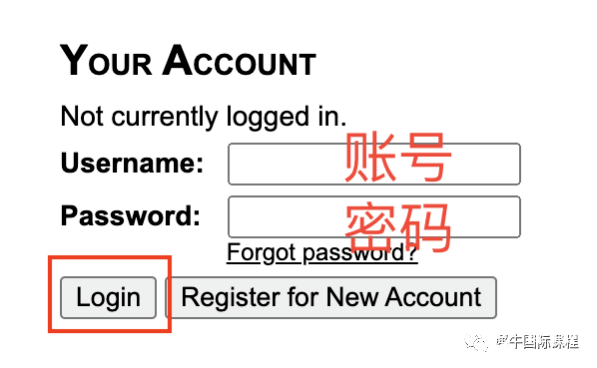 USACO考試怎么報名？競賽報名流程圖解！