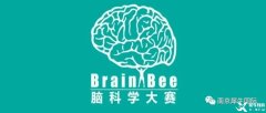 Brain Bee競(jìng)賽如何報(bào)名？地區(qū)/全國(guó)/國(guó)際賽事都考什么？
