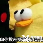 FBLA商科競賽開始報名！FBLA競賽精品小班課報名中！