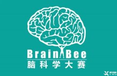 Brainbee腦科學(xué)競賽含金量高嗎？犀牛Brainbee競賽沖刺基礎(chǔ)班報名中~