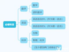 IGCSE如何選課？IGCSE寒假班推薦！