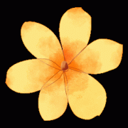 A-Level數(shù)學(xué)怎么考能拿到A*，備考難點(diǎn)及學(xué)習(xí)規(guī)劃分析！