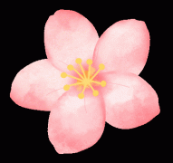 沖藤校孩子的7-12年級規(guī)劃，涉及語言+國際競賽+GPA規(guī)劃思路