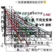 IG經(jīng)濟(jì)學(xué)什么？學(xué)習(xí)內(nèi)容及輔導(dǎo)課程推薦~