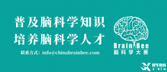 2025BrainBee腦科學大賽開始報名！BrainBee報名考試時間/報名方式/考試大綱奉上！