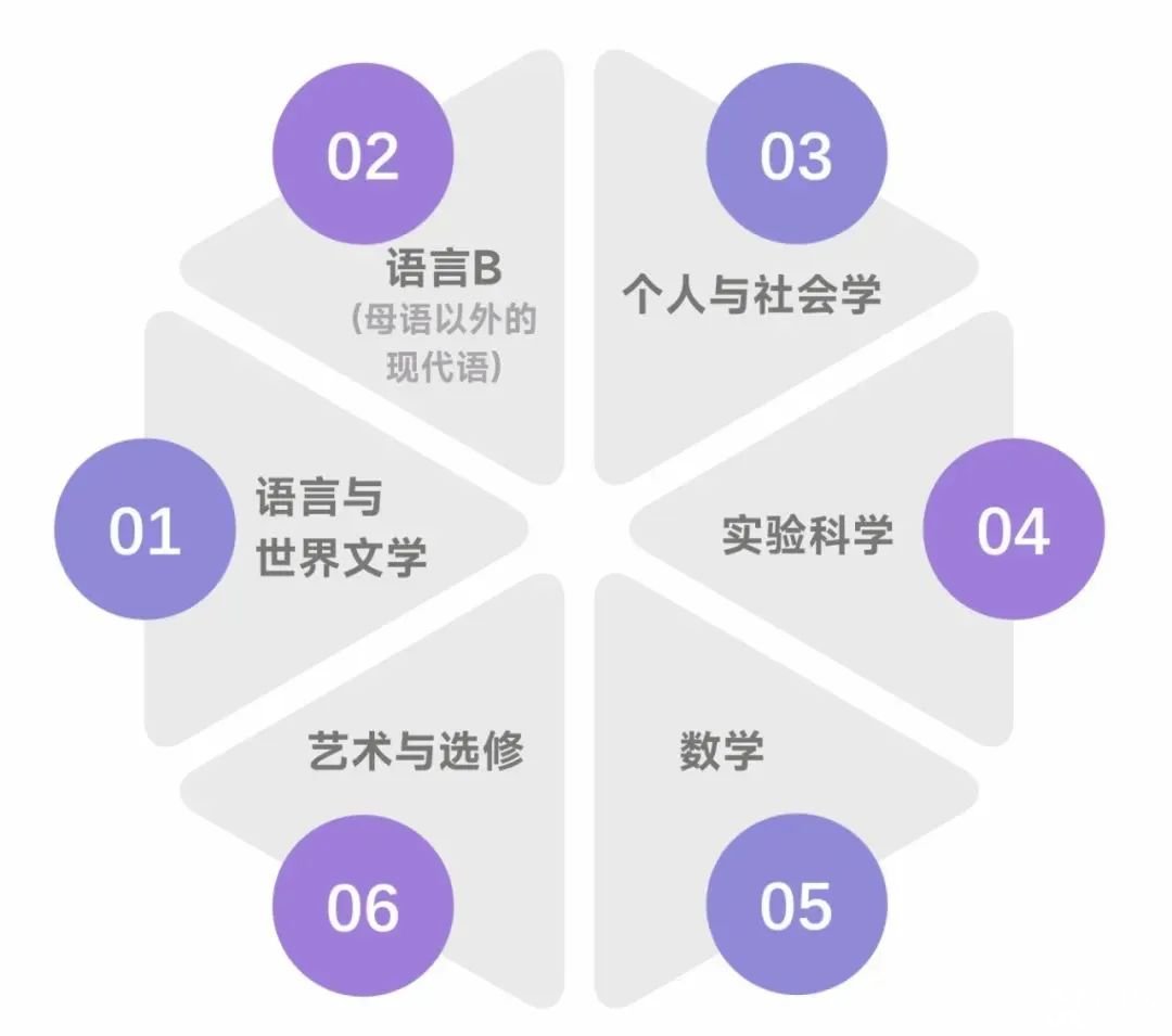 國際學校春秋招必看！含金量高，難度超模，IB課程該不該選？