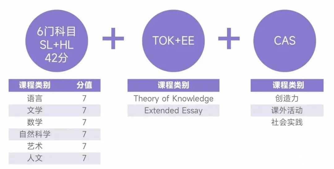 國際學校春秋招必看！含金量高，難度超模，IB課程該不該選？