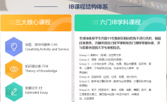 IBDP選課如何選？國際課程專業(yè)老師1V1建議指導！