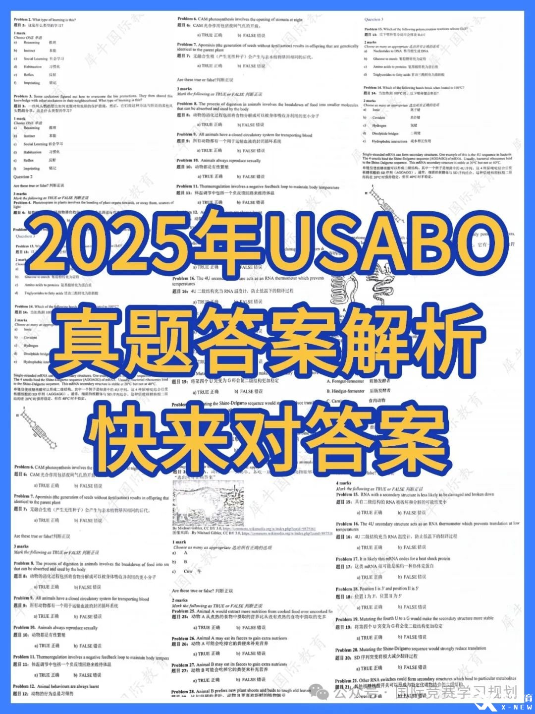 教育省考申論科普攻略小紅書配圖(3).jpg