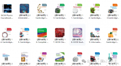 IGCSE課程是什么：國際教育“黃金跳板”，如何助力孩子沖擊世界名校?