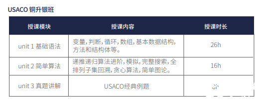USACO競(jìng)賽從青銅到鉑金如何備考？USACO競(jìng)賽培訓(xùn)組班啦！