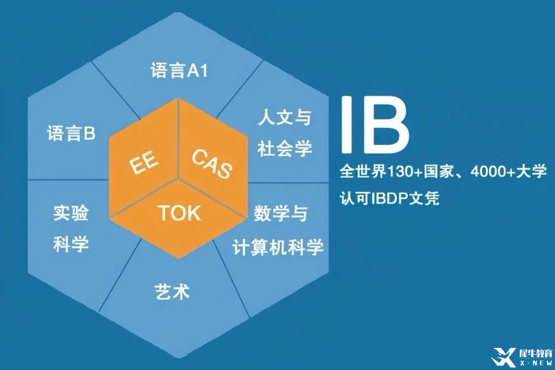 中考后轉(zhuǎn)軌國際走IB？深挖國際最難學科“IB課程”優(yōu)勢！機構(gòu)IB暑期班帶你絲滑轉(zhuǎn)軌！