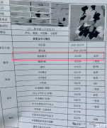 袋鼠數(shù)學(xué)競(jìng)賽一文講清楚！袋鼠數(shù)學(xué)競(jìng)賽適合幾年級(jí)？