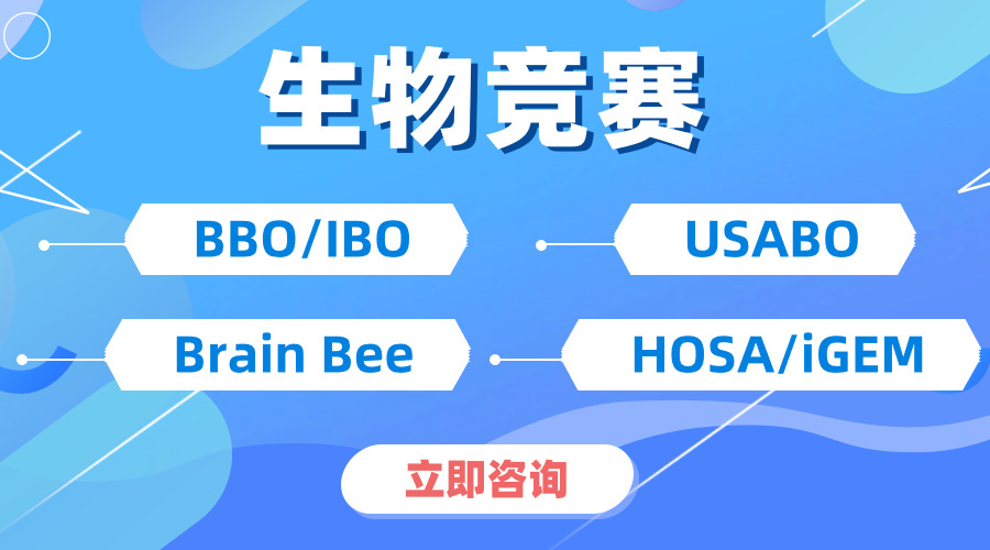 一文搞懂！BrainBee生物競賽怎么報名？競賽形式具體是什么樣的？