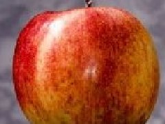 高含金量經(jīng)濟(jì)類競(jìng)賽SIC如何獲獎(jiǎng)？